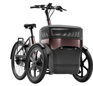 Elektrische driewielfies Thuja Van Raam